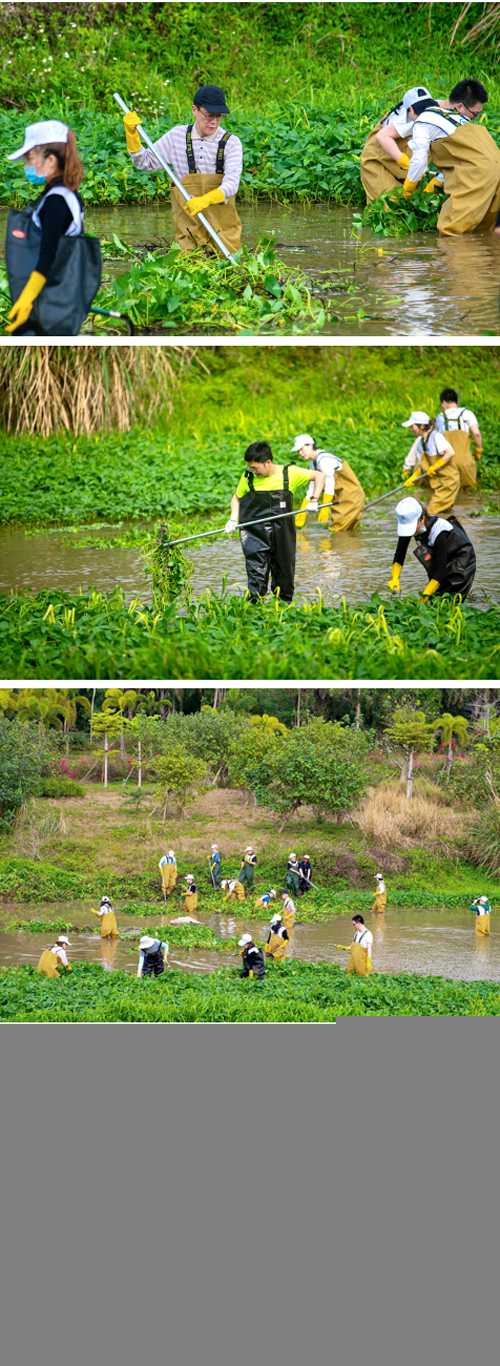 7_志愿者们为河道清除外来物种.jpg